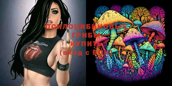 гидра Баксан